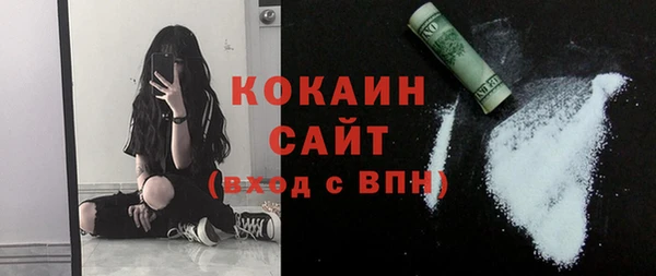 соль ск Богородицк