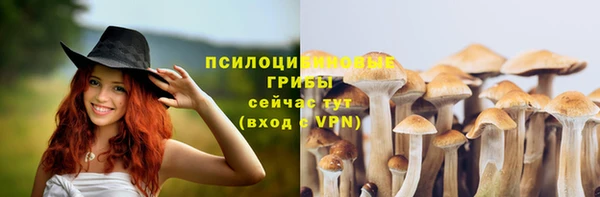 бошки Белоозёрский