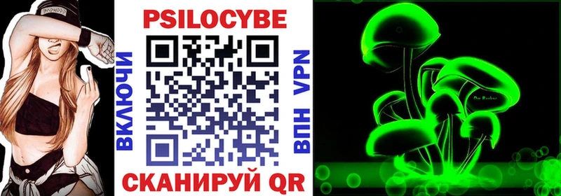 Галлюциногенные грибы Psilocybe  Купить где  Семёнов 